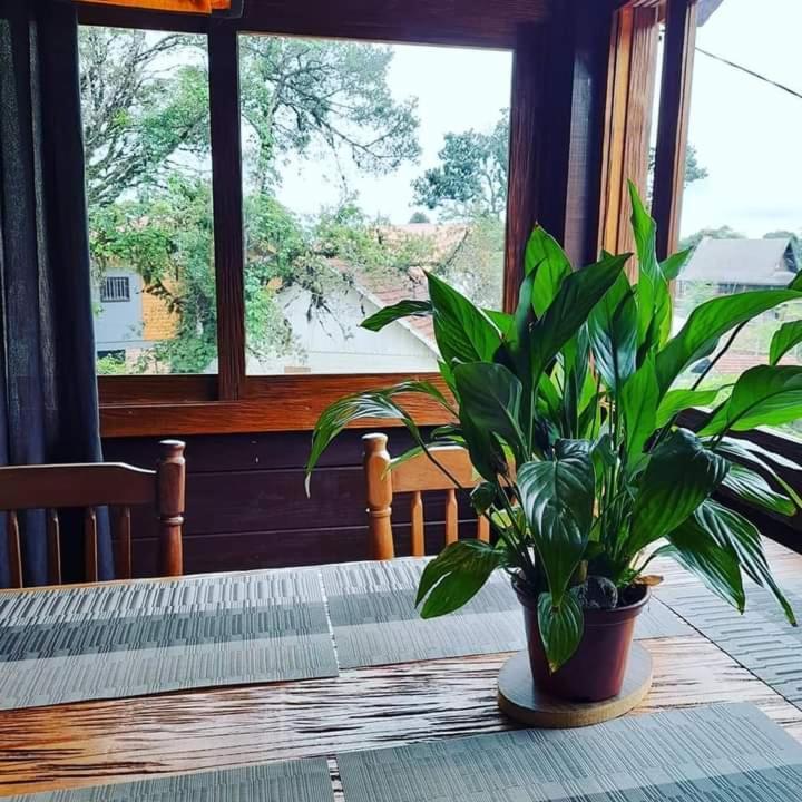 מלון קנלה Refugio Jardim Mariana מראה חיצוני תמונה